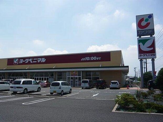 ヨークベニマル 谷田部店