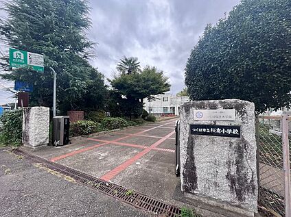 つくば市立桜南小学校  約2,200m(徒歩約28分)