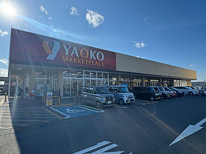 ヤオコー竜ヶ崎店 約700m(徒歩約9分)