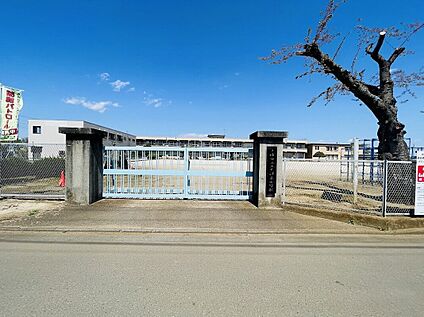 土浦市立上大津東小学校 約550m(徒歩約7分)