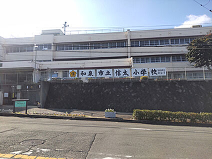 信太小学校 約1,100m(徒歩約13分)