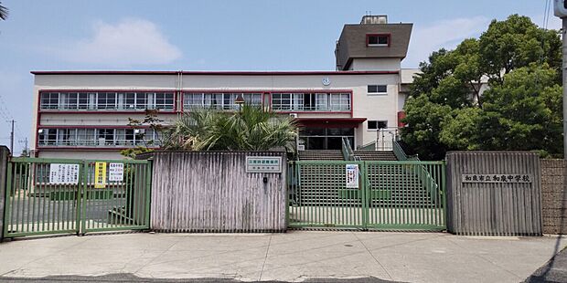 和泉中学校