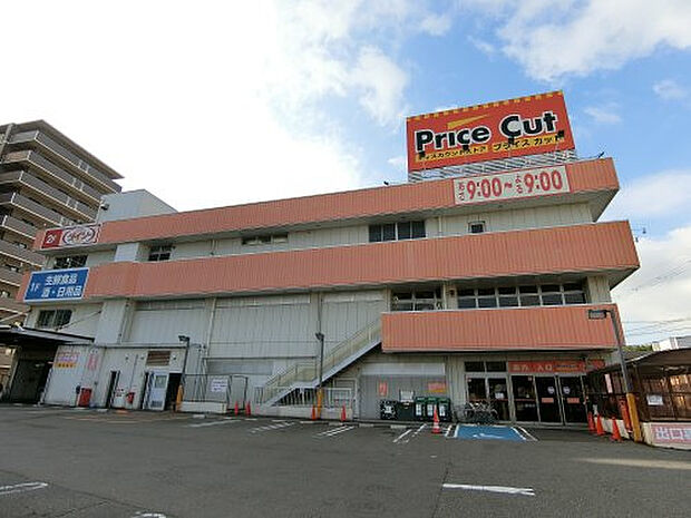 プライスカット（約1m）