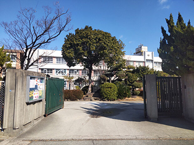 信太中学校