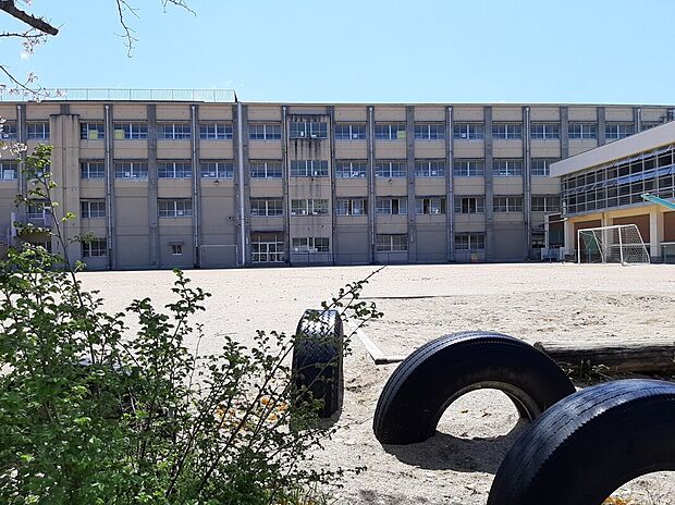 楠小学校