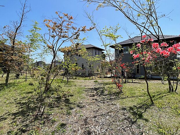 つくばみらい市の新築一戸建て 一軒家 建売 分譲住宅の購入 物件情報 茨城県 スマイティ