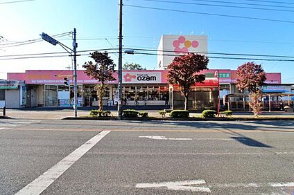 スーパーオザム東狭山ヶ丘店 416m (徒歩6分)