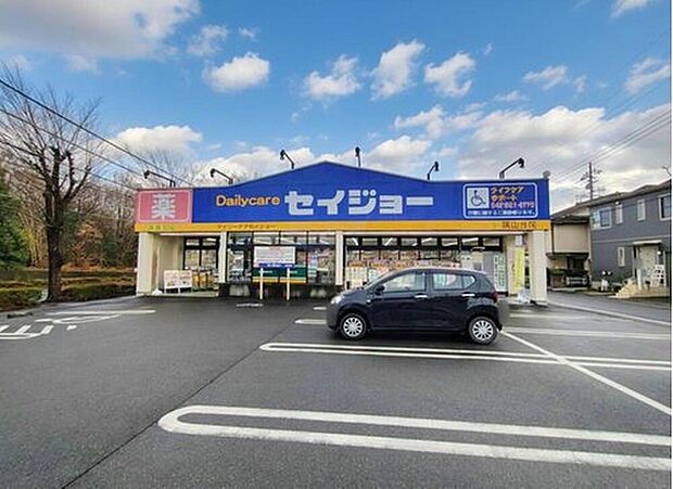 デイリーケアセイジョー狭山台店(約341m)