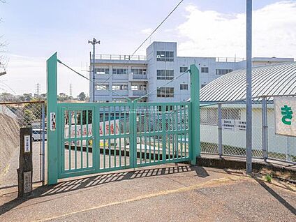 所沢市立荒幡小学校 800ｍ(徒歩10分)
