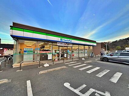 ファミリーマート入間上藤沢南店 580m (徒歩8分)