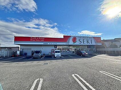 ドラッグストアセキ上藤沢店 763m (徒歩10分)