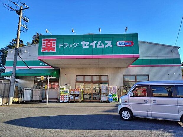 ドラッグセイムス仏子店（約651m）