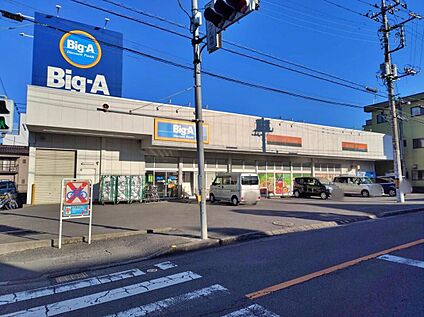 ビッグ・エー入間仏子店 1000m(徒歩13分)