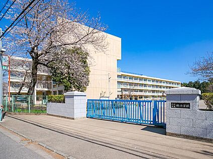 所沢市立林小学校 1120m(徒歩14分)