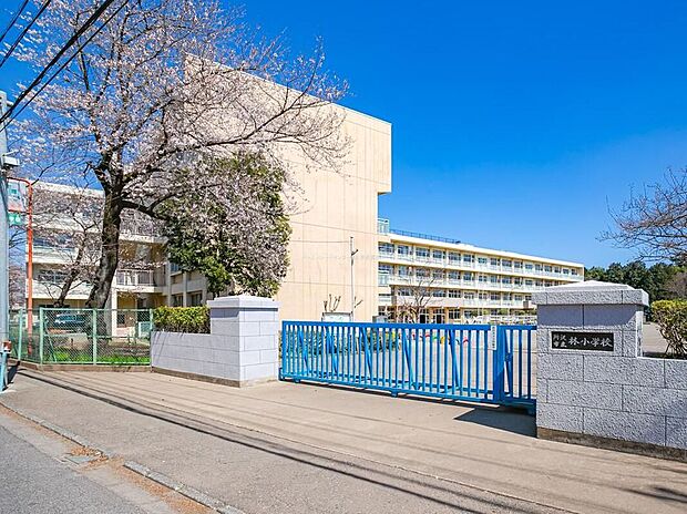 所沢市立林小学校(約1,120m)