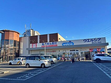 ウエルシア狭山北入曽店 784m (徒歩10分)