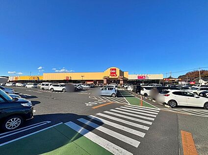 ベルクベスタ狭山店 943m(徒歩12分)