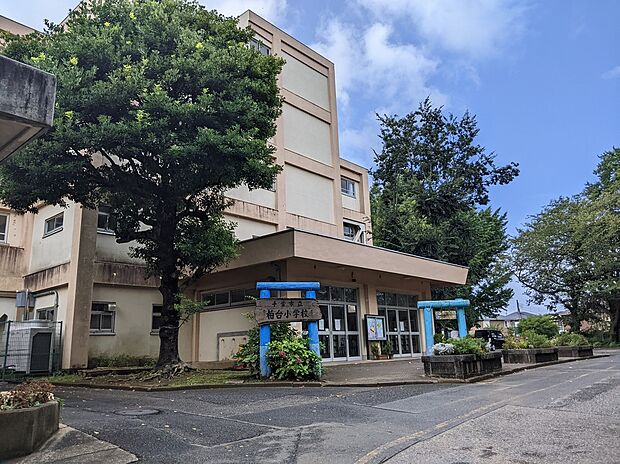 柏台小学校(約900m・徒歩12分)
