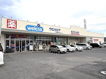 ウェルシア千葉東寺山店 1200
