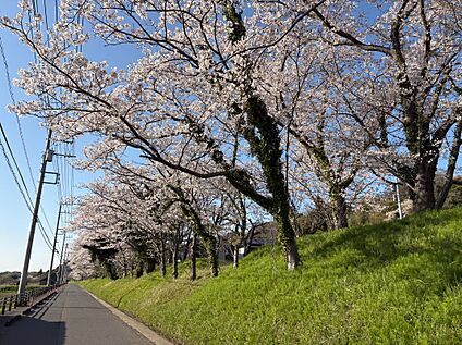隣接地写真