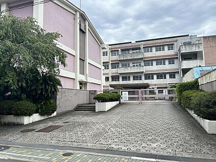前山小学校 約250m～320m(徒歩約4分)