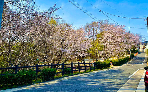 四季を感じることができる水広公園