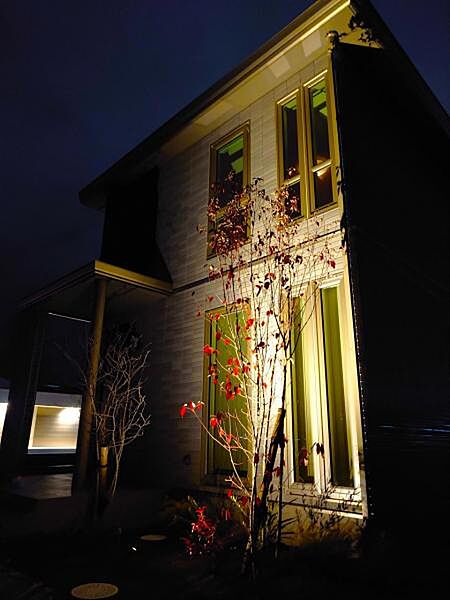 夜間は植栽越しに外壁をライトアップし高級感のある外観を演出。