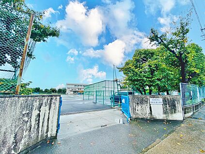 たかしま小学校  約800m(徒歩10分)