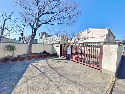 千種中学校 約1700ｍ(徒歩22分)