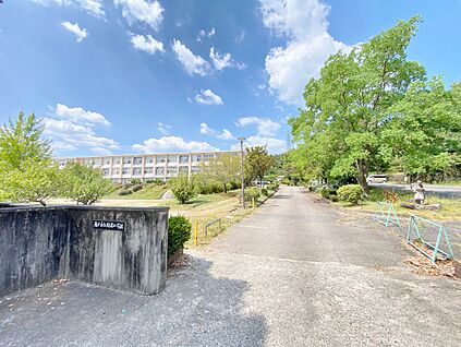 陶原小学校 約540ｍ(徒歩7分)