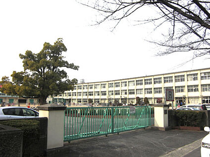 鷹来小学校 約260ｍ(徒歩4分)