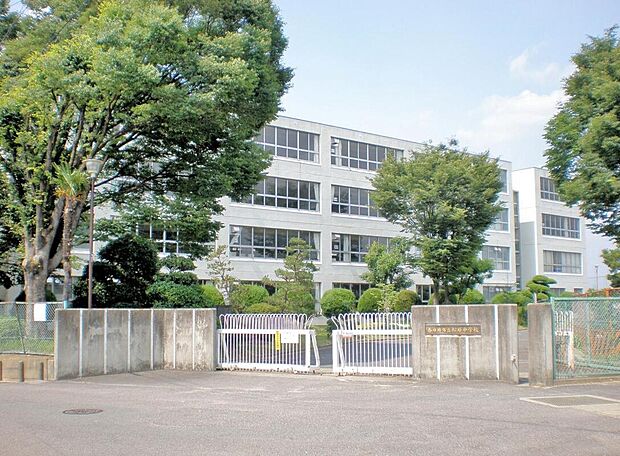 松原中学校（約600m）