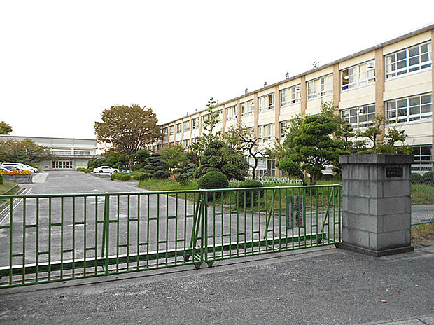 中部中学校（約800m）