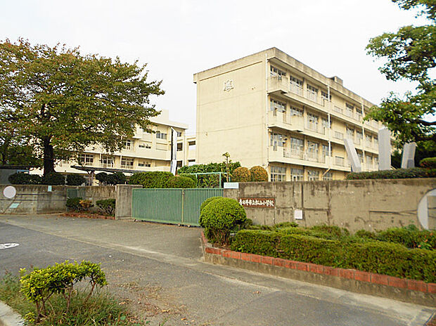 松山小学校（約300m）