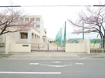 名古屋市立一色中学校 110ｍ