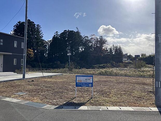 区画No.3現地写真(2024年11月撮影)/土地面積:63.52坪/自然環境に恵まれた立地でのびのびと暮らすことができます!