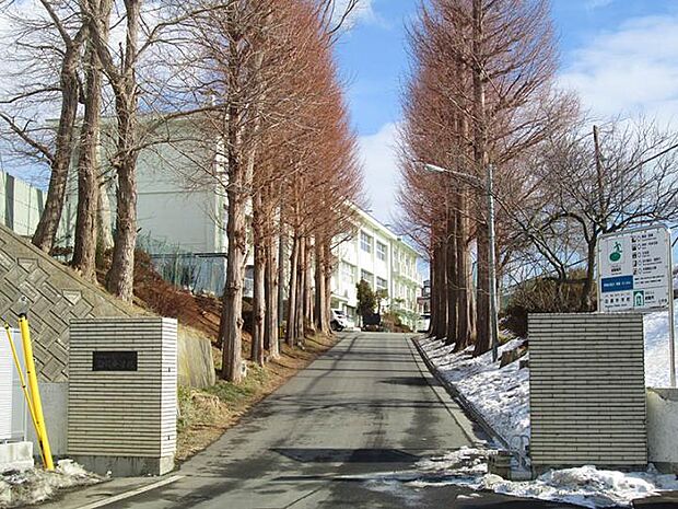 白銀中学校