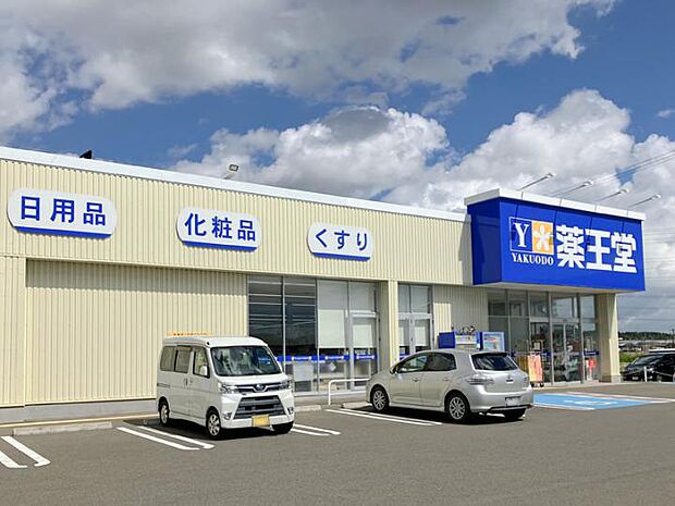 薬王堂多賀城山王店