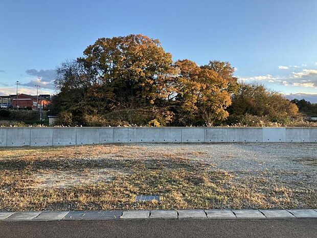 【区画No.21現地写真】北道路の整形地駐車場、建物、お庭と敷地を有効活用いただけます。(2024年11月撮影)
