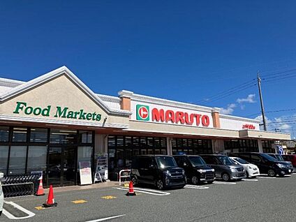 マルト　泉店 約200m(徒歩3分)