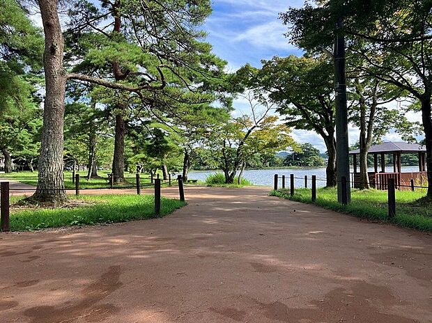 南湖公園(約590m)