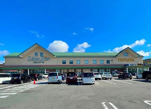 リオンドール 滝沢店(約630m)