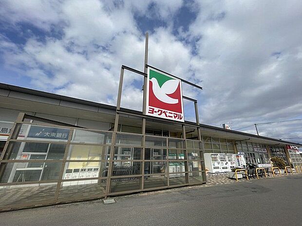 ヨークベニマル コスモス通り店(約990m)
