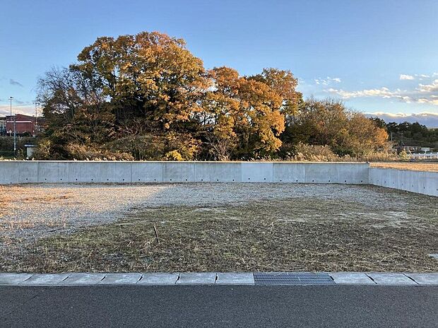 【外観】区画No.22現地写真(2024年11月撮影)/土地面積:60.85坪