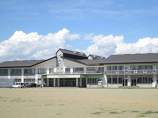 向中野小学校（約1,570m）