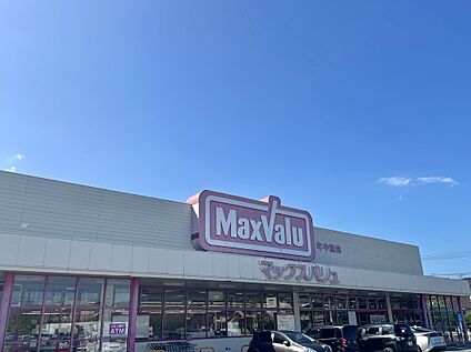 マックスバリュ稗田店 約220ｍ(徒歩3分)