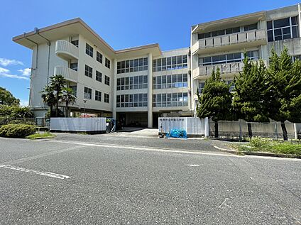 今宿小学校 約890ｍ(徒歩12分)