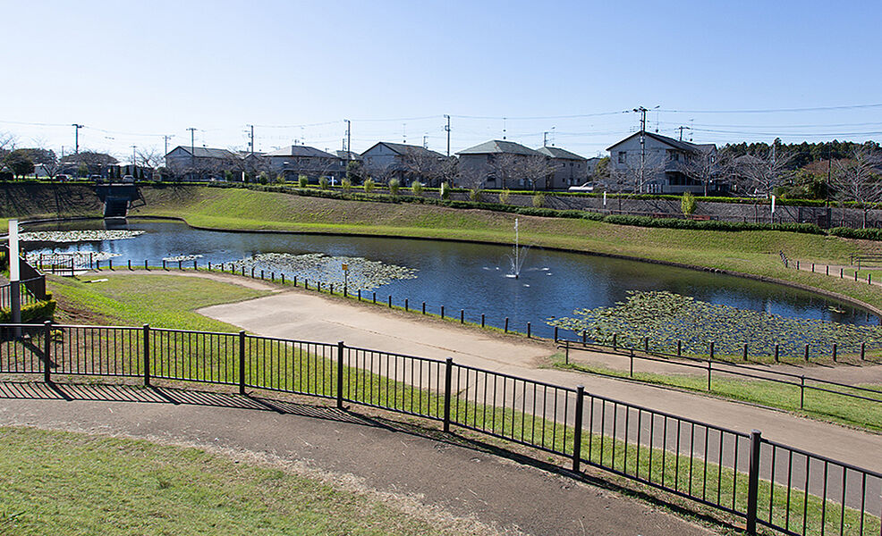 【レジャー】本郷親水公園