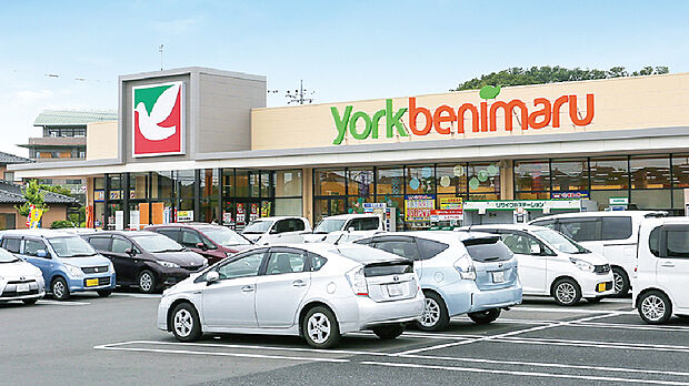 ヨークベニマル日立川尻店（約320m）