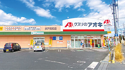 クスリのアオキ水戸見和店 約680m～810m(徒歩9分～11分)